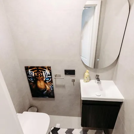 Neues Modernes Apartment, 3 Zimmer, 7 Betten, Kueche, 1,5 Badezimmer * باد هونيف ام راين